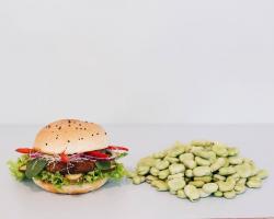 Zdjęcie dania Przykładowy burger miesiąca