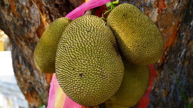 jackfruit kotlety