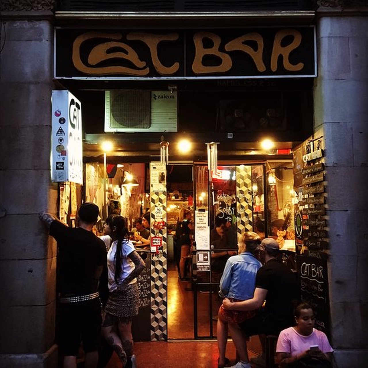 Cat Bar
